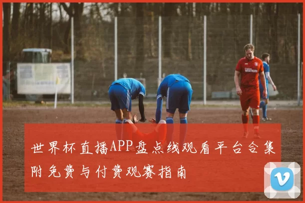 世界杯直播APP盘点线观看平台合集附免费与付费观赛指南