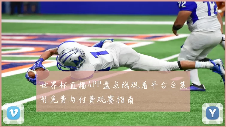 世界杯直播APP盘点线观看平台合集附免费与付费观赛指南