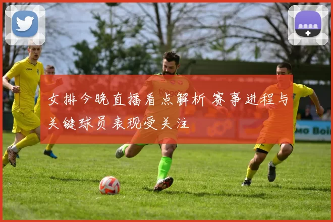 女排今晚直播看点解析 赛事进程与关键球员表现受关注